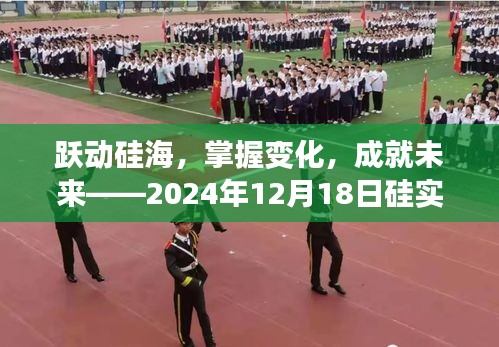 硅海跃动，掌握变化，预见未来——2024年硅实时行情启示录