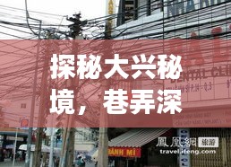 大兴秘境探秘，巷弄特色小店与实时交通管制指南