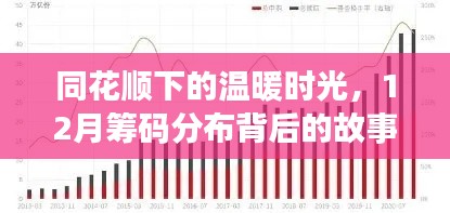 同花顺下的温暖时光，揭秘12月筹码分布背后的故事