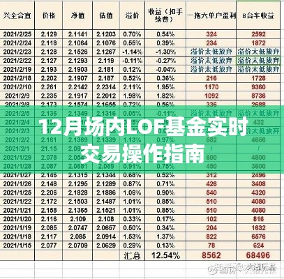 十二月场内LOF基金实时交易操作指南大全