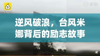 逆风破浪，台风米娜背后的坚韧人生励志故事