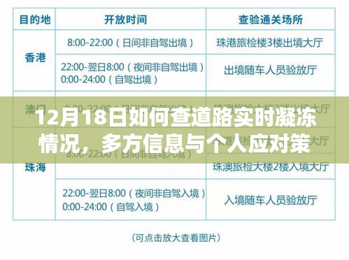 12月18日道路实时凝冻情况查询指南，多方信息解读与个人应对策略分析