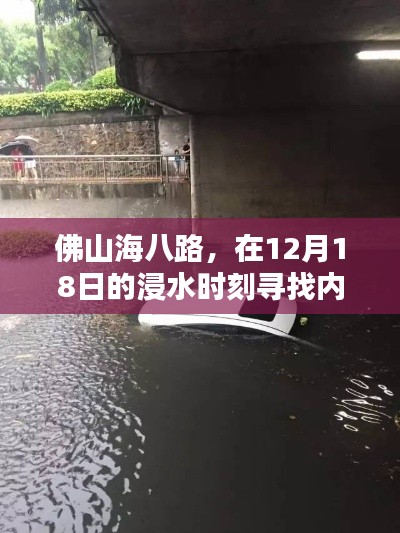 佛山海八路浸水时刻，探寻内心宁静与自然微笑之路