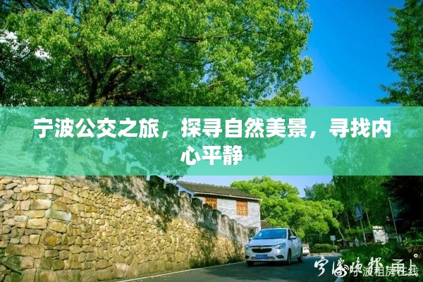 宁波公交之旅，探寻自然美景，寻觅内心宁静