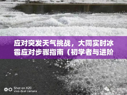 大同冰雹应对指南，从初学者到进阶用户的实时天气挑战应对策略