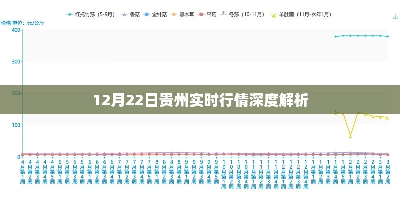 贵州实时行情深度解析，聚焦12月22日数据