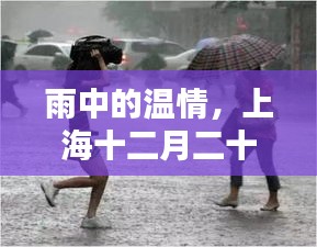 上海雨夜奇遇，温情在暴雨中绽放