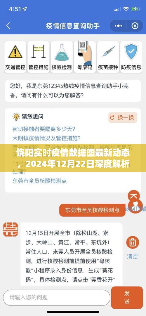 饶阳最新疫情动态数据图深度解析（截至2024年12月22日）