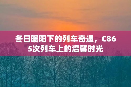 冬日暖阳下的列车奇遇，C865次列车温馨时光之旅