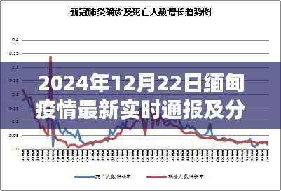 2024年12月22日缅甸疫情最新实时通报，疫情分析与预测