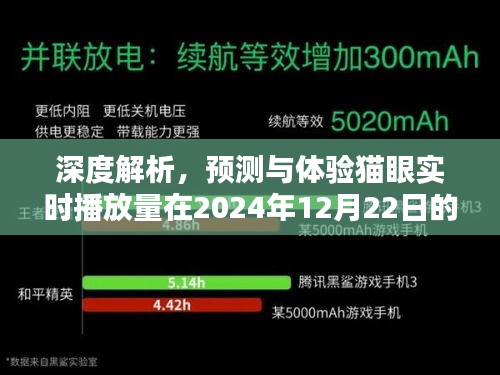 猫眼实时播放量深度解析，预测与体验独特魅力——2024年12月22日数据报告