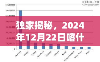 独家深度解析，喀什游客人数统计图——揭秘2024年12月22日喀什旅游热潮数据