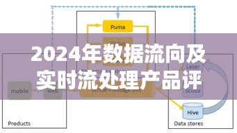 实时数据流处理系统评测报告，数据流向与产品性能分析（2024版）