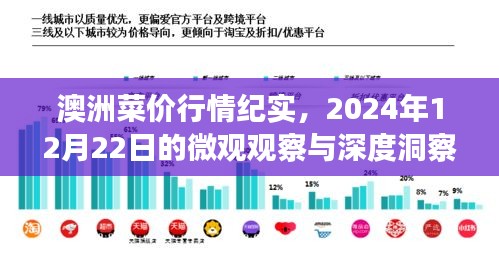 澳洲菜价行情深度观察，2024年12月22日的微观纪实与洞察