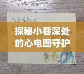 探秘心电图守护者的心动之旅，小巷深处的暖心守护者们（12月22日纪实）