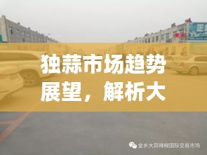 独蒜市场趋势展望，大理大蒜在关键时间点的动态解析（预测至2024年12月）