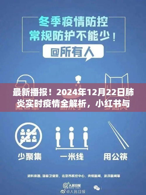 2024年12月22日肺炎实时疫情全面解析，小红书携手共筑健康防线