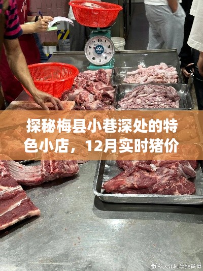 梅县小巷美食探秘，特色小店与实时猪价下的猪肉饕餮之旅