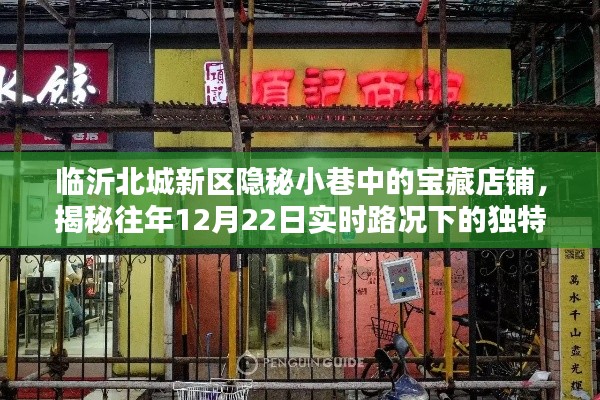 临沂北城新区隐秘小巷宝藏店铺，揭秘特殊日期实时路况下的独特风情