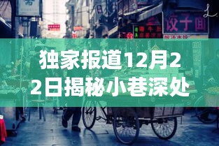 独家揭秘，小巷深处的隐藏版特色小店——探寻独特风味的故事