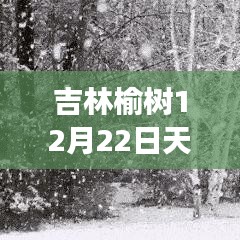 吉林榆树12月22日天气实时解读与体验分享