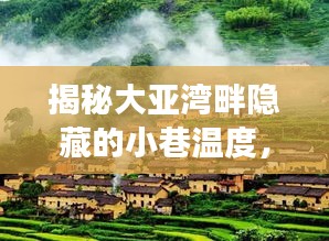 大亚湾畔特色小店，小巷中的温暖故事揭秘