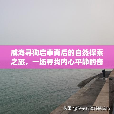 威海寻狗启事背后的自然探索之旅，心灵平静之旅的奇妙征途