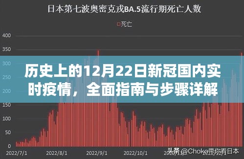历史上的新冠国内实时疫情，全面指南与详细步骤解读
