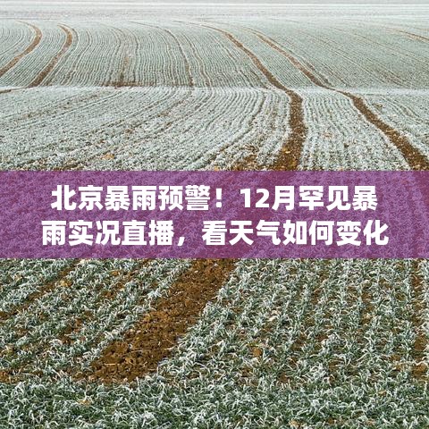 北京罕见12月暴雨预警，实时直播天气变化