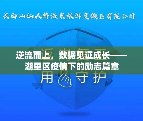 湖里区疫情下的逆流成长，数据见证的励志篇章