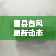 曹县台风最新动态与实时路径图深度解析