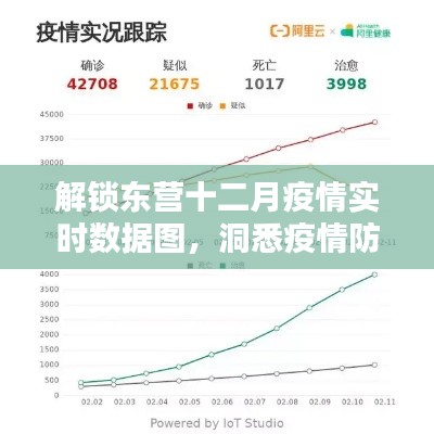 东营十二月疫情实时数据图解析，洞悉疫情防控最新动态