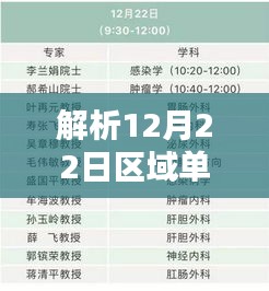 解析区域单与实时单，三大要点深度探讨（12月22日）