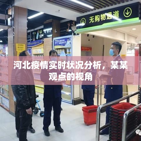 河北疫情实时状况分析，某某视角下的观察与解析