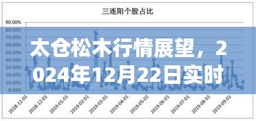 太仓松木行情展望，深度解析实时行情与未来趋势预测（2024年12月22日）