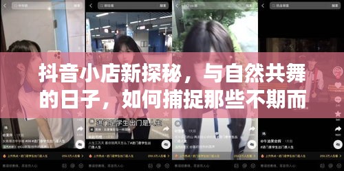 抖音小店自然风情下的惊喜访客，探索与捕捉的不期而遇之旅