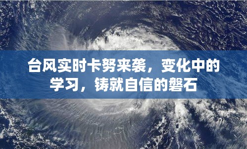 台风来袭下的学习与自信铸就之路