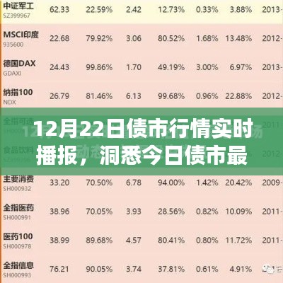 12月22日债市行情深度解析，最新动态与实时播报