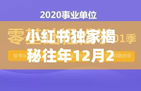 小红书独家揭秘，往年12月22日实时用户测试全攻略揭秘，轻松掌握技巧秘籍！