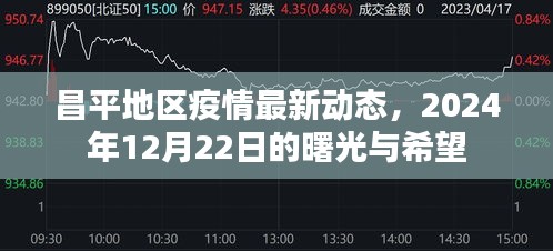 昌平地区疫情最新动态，曙光与希望照亮2024年12月抗疫之路