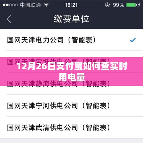 支付宝实时用电量查询方法指南（12月26日）