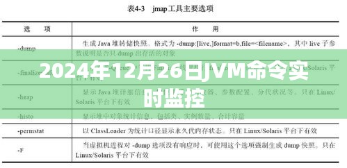 JVM命令实时监控详解，掌握JVM运行状态，助力高效运维