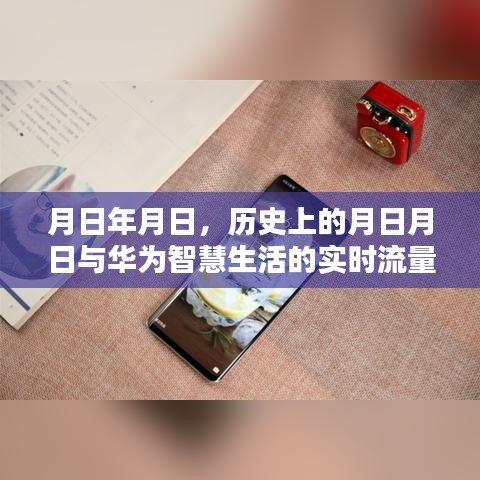 华为智慧生活实时流量查看与历史月日月日对比