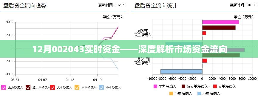 12月市场资金流向深度解析，实时资金观察报告