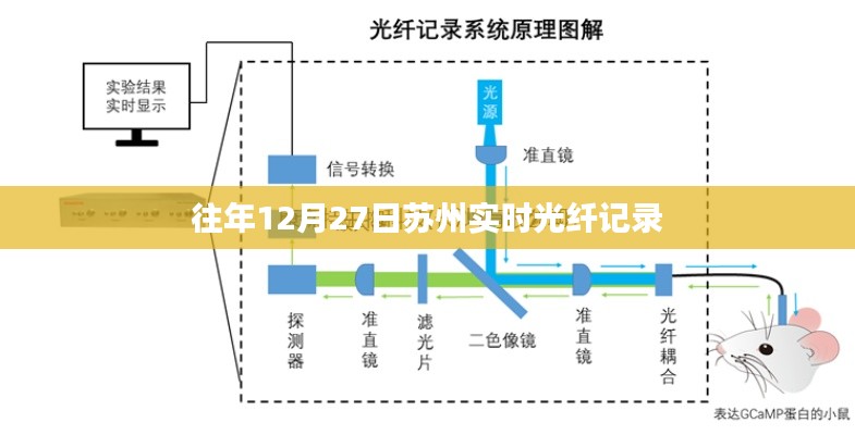 苏州实时光纤记录，历年12月27日数据概览