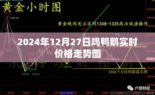 鸡鸭鹅实时价格走势图（最新更新至2024年）