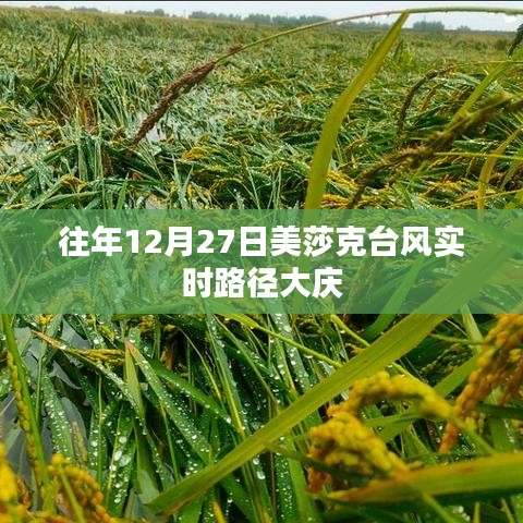 美莎克台风大庆实时路径追踪报道