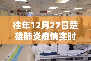 楚雄州肺炎疫情实时动态通报（往年12月27日）