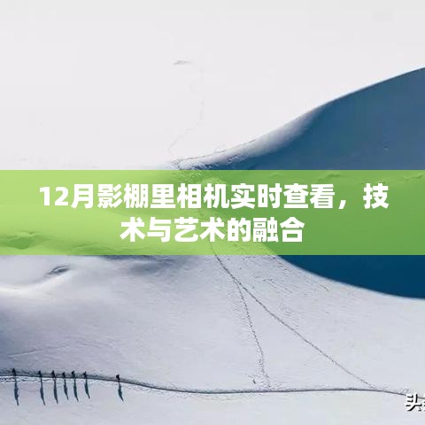 影棚相机实时查看，技术与艺术的完美融合