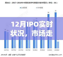 12月IPO市场走势活跃，新股发行稳步前行实时报告